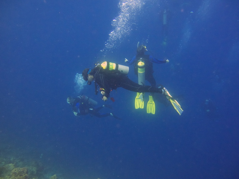 Divers IMG_7745.jpg